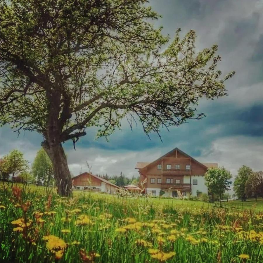 Biobauernhof Brandlhof Apartment Рамзау ам Дахщайн Екстериор снимка